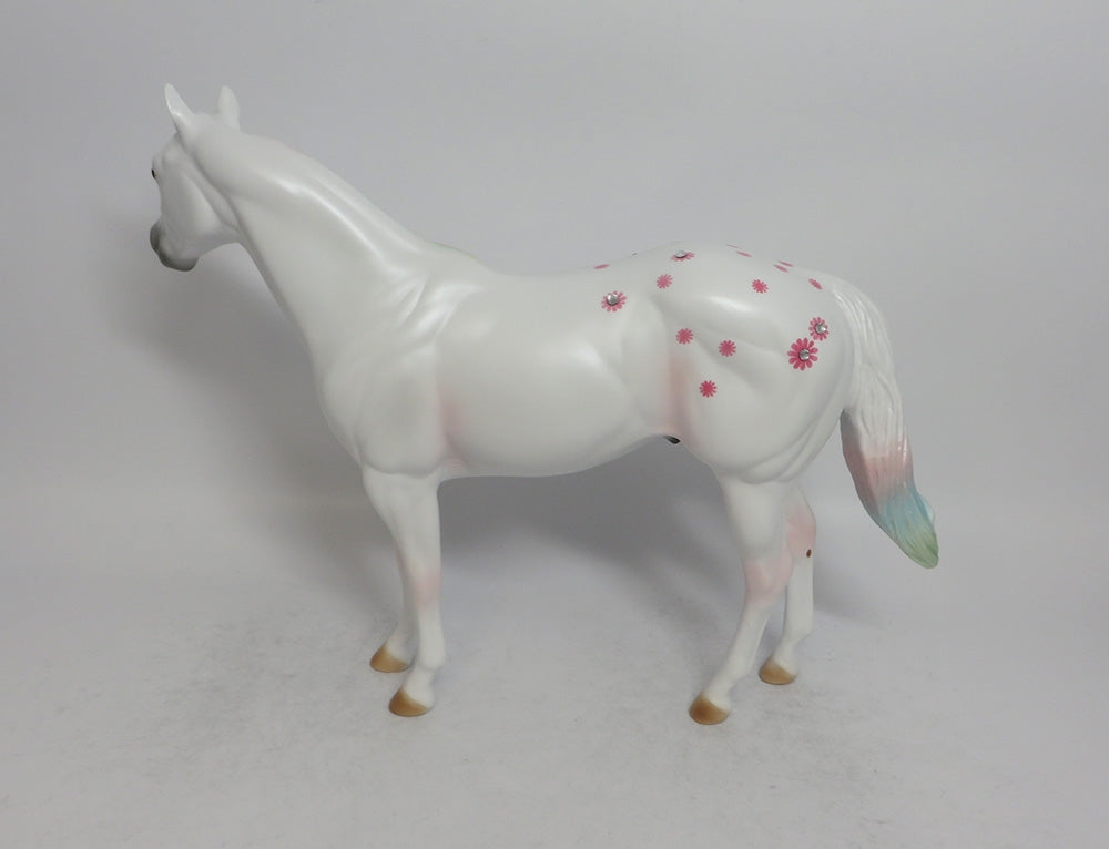 DAISY BOY PINK - OOAK PINK DAISY APPALOOSA DECORATOR ISH SHCF2018