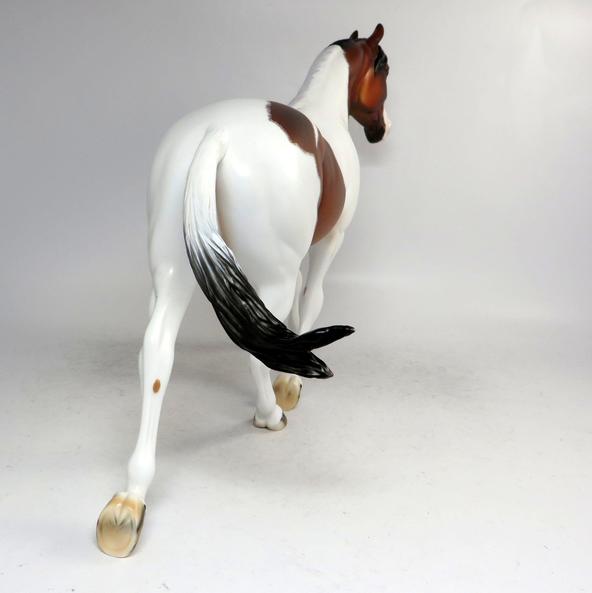 SCOUT-OOAK PAINT PALOUSE MODEL HORSE BY DAWN QUICK 12/21/18
