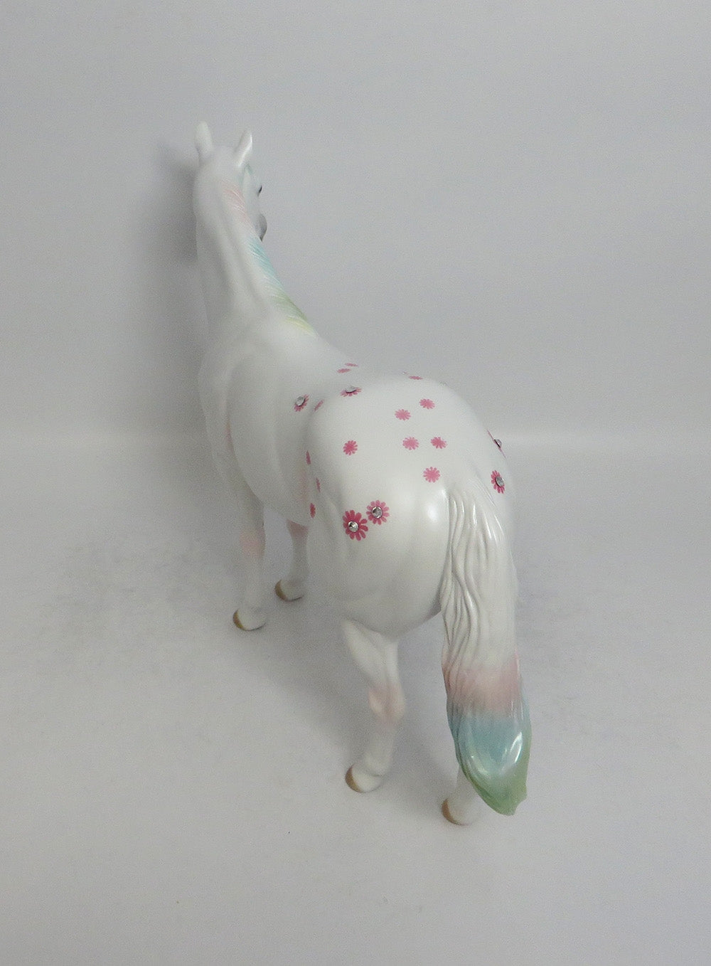 DAISY BOY PINK - OOAK PINK DAISY APPALOOSA DECORATOR ISH SHCF2018