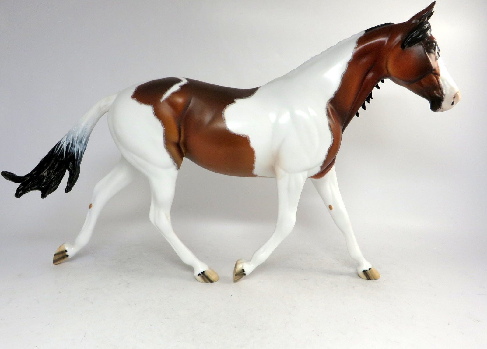 SCOUT-OOAK PAINT PALOUSE MODEL HORSE BY DAWN QUICK 12/21/18