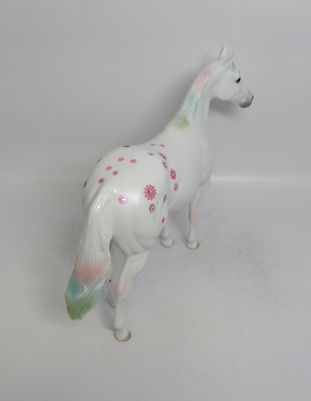 DAISY BOY PINK - OOAK PINK DAISY APPALOOSA DECORATOR ISH SHCF2018