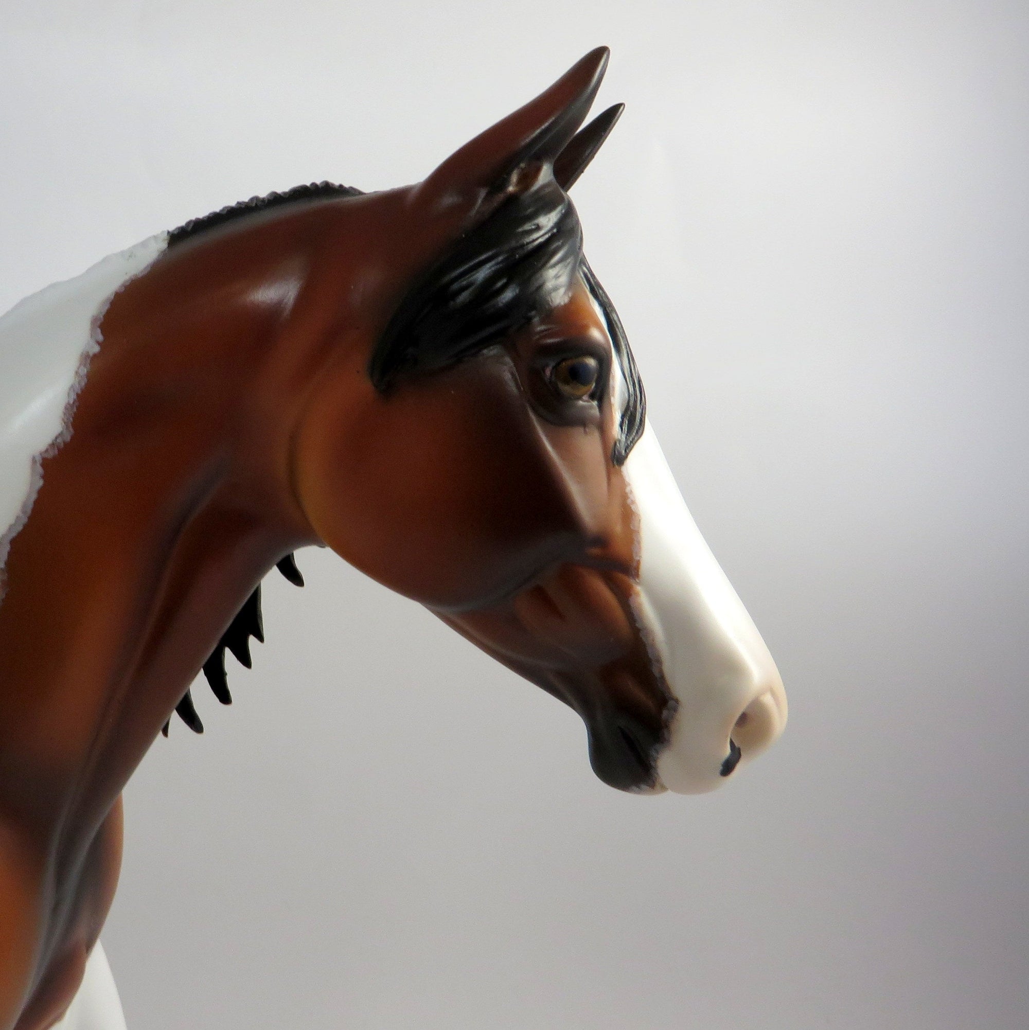 SCOUT-OOAK PAINT PALOUSE MODEL HORSE BY DAWN QUICK 12/21/18
