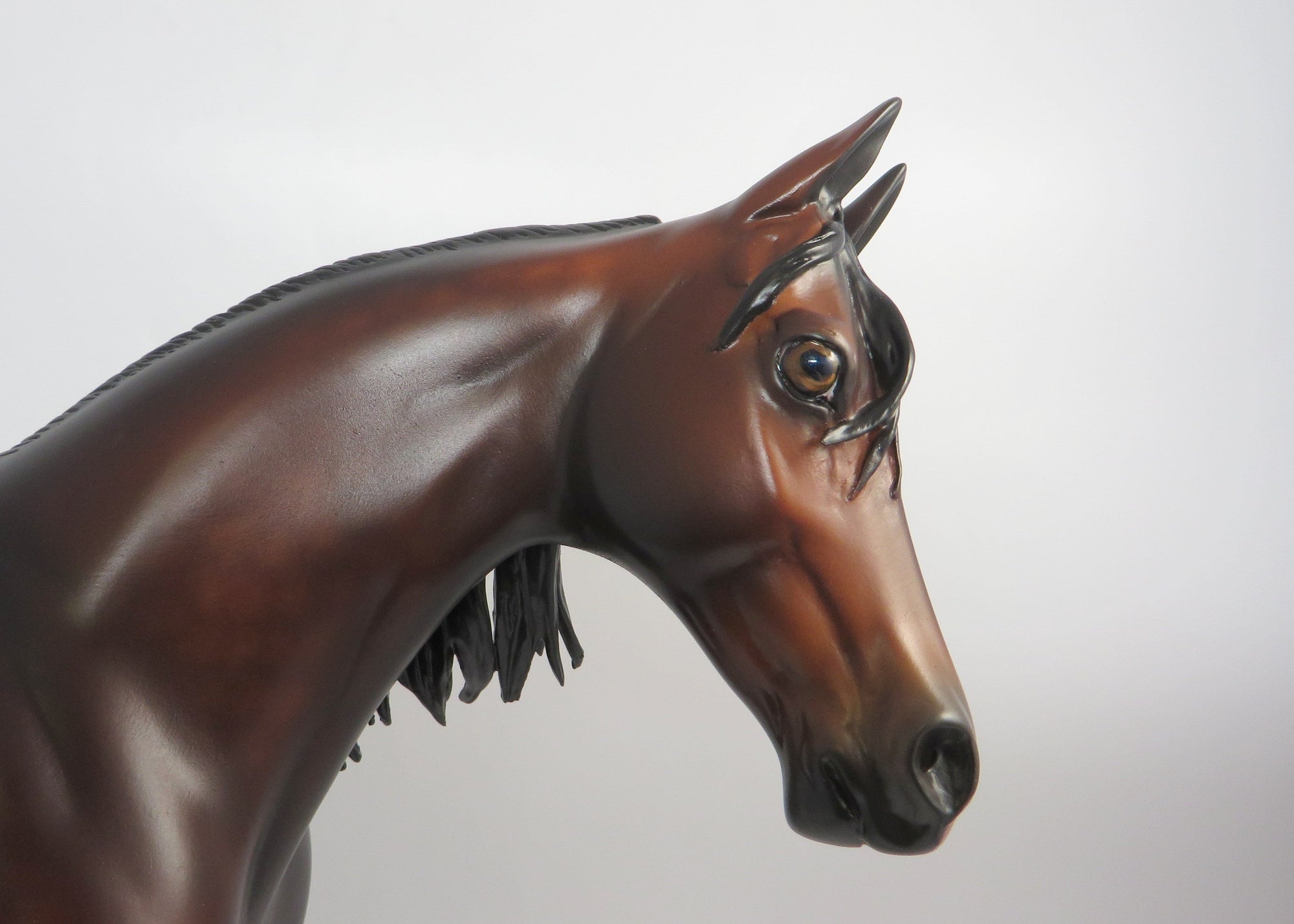 *RETIRED* JEOPARDY-OOAK DAPPLE BAY THOROUGHBRED BY SHERYL LEISURE 12/27/18