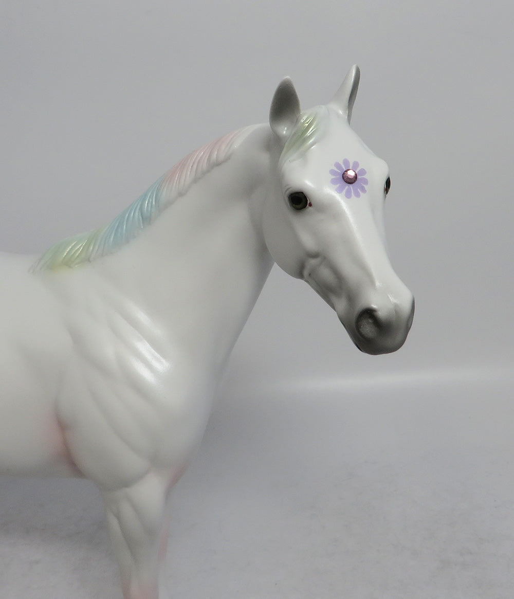 DAISY BOY LAVENDER - OOAK BLUE DAISY APPALOOSA DECORATOR ISH SHCF2018