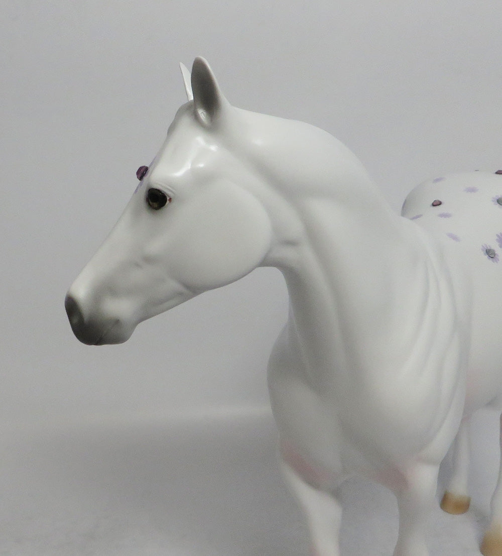 DAISY BOY LAVENDER - OOAK BLUE DAISY APPALOOSA DECORATOR ISH SHCF2018