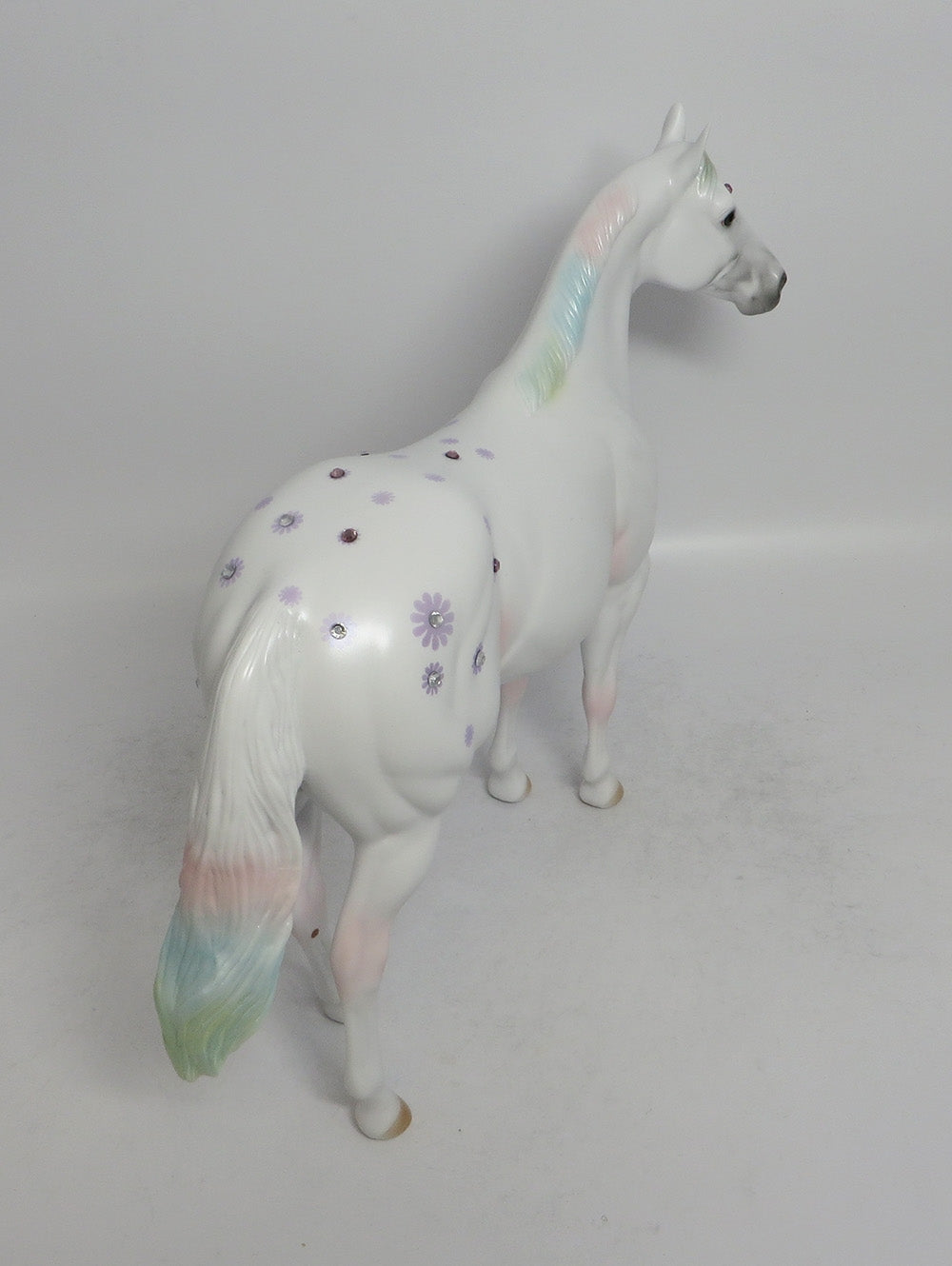 DAISY BOY LAVENDER - OOAK BLUE DAISY APPALOOSA DECORATOR ISH SHCF2018