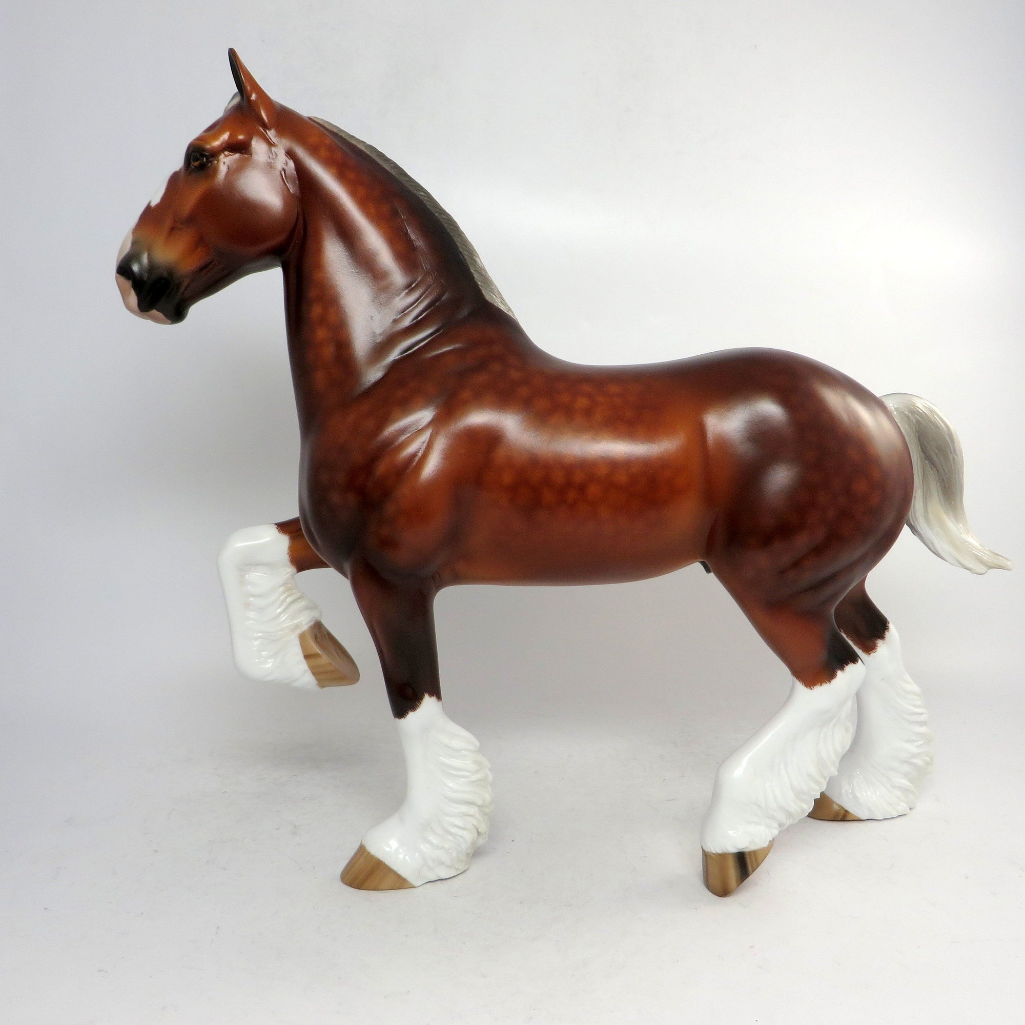 trotting drafter peter stone