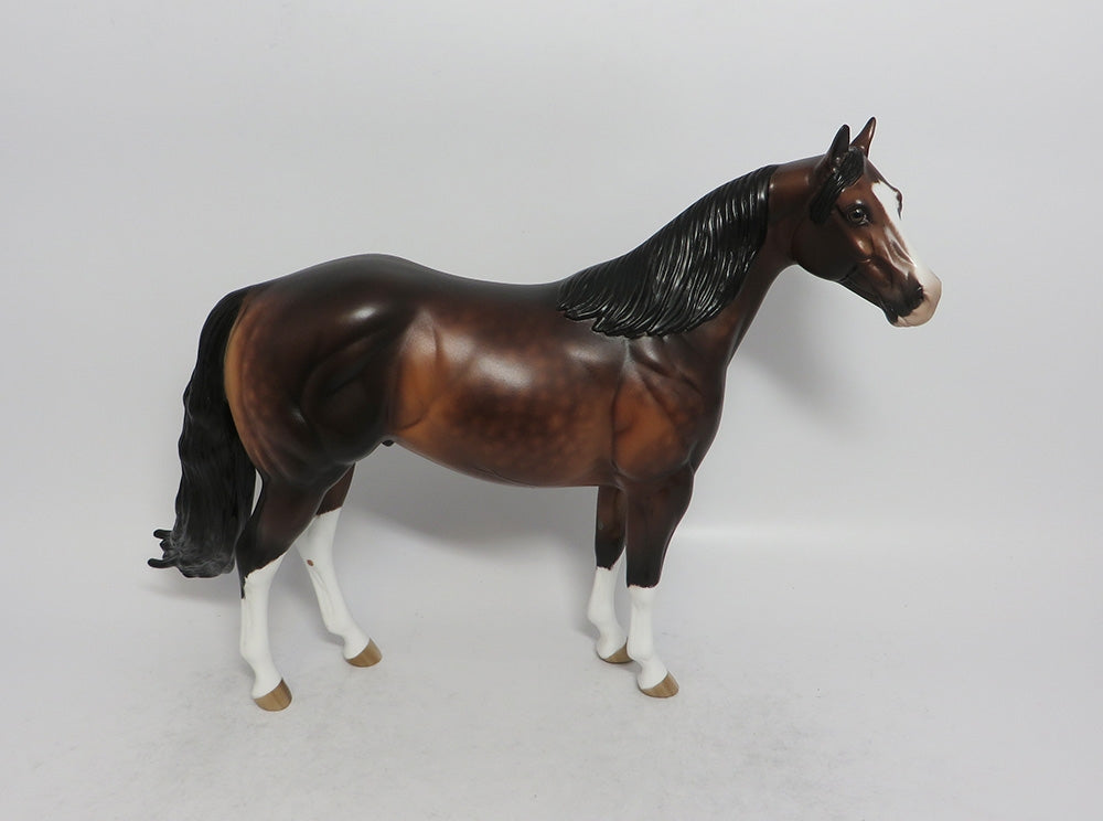 CURLY - OOAK DAPPLE BAY ISH MODEL HORSE BY SHERYL LEISURE SHCF2018