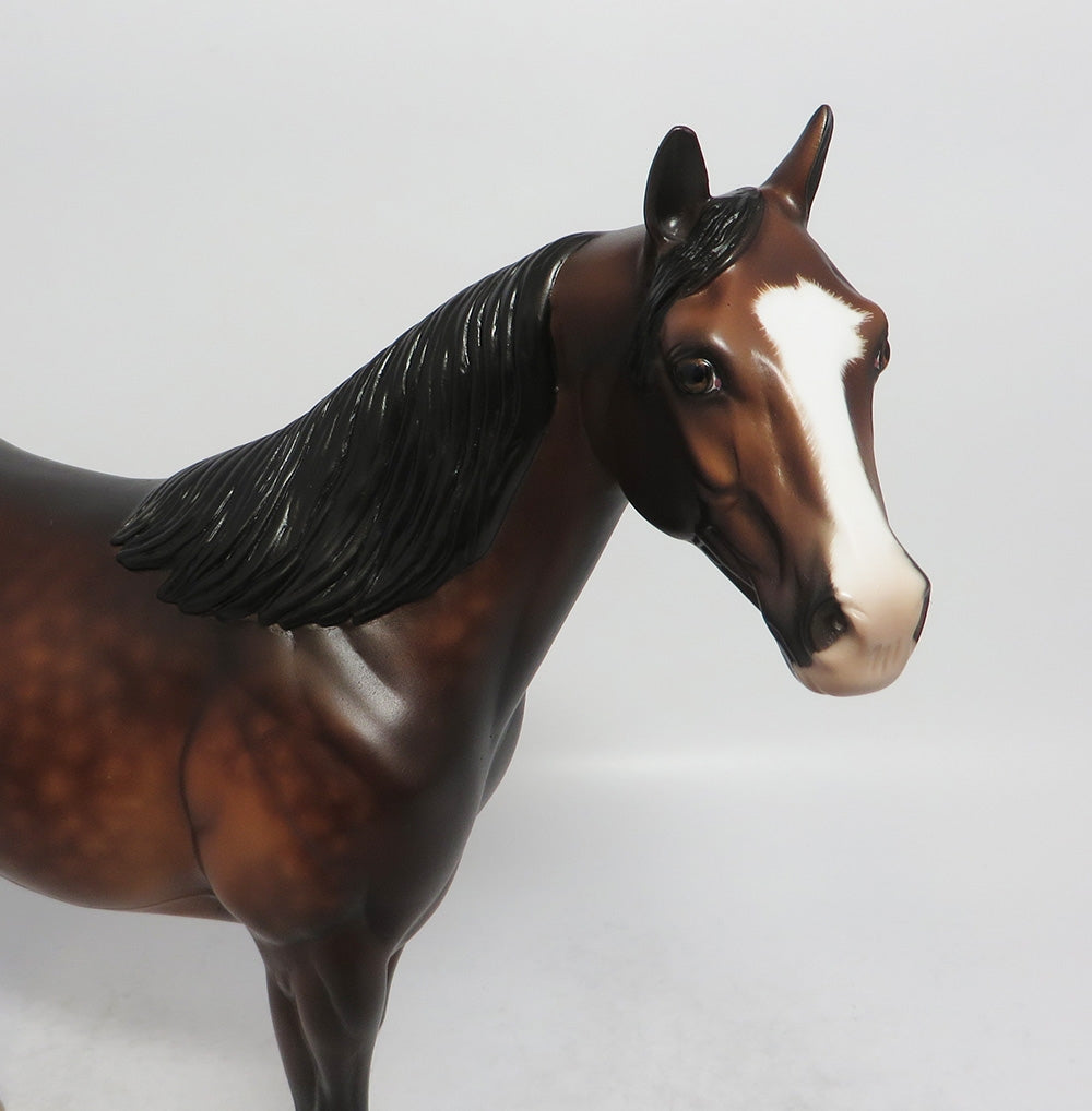 CURLY - OOAK DAPPLE BAY ISH MODEL HORSE BY SHERYL LEISURE SHCF2018