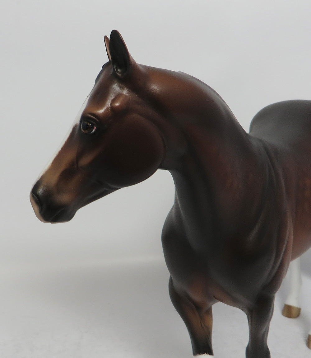 CURLY - OOAK DAPPLE BAY ISH MODEL HORSE BY SHERYL LEISURE SHCF2018