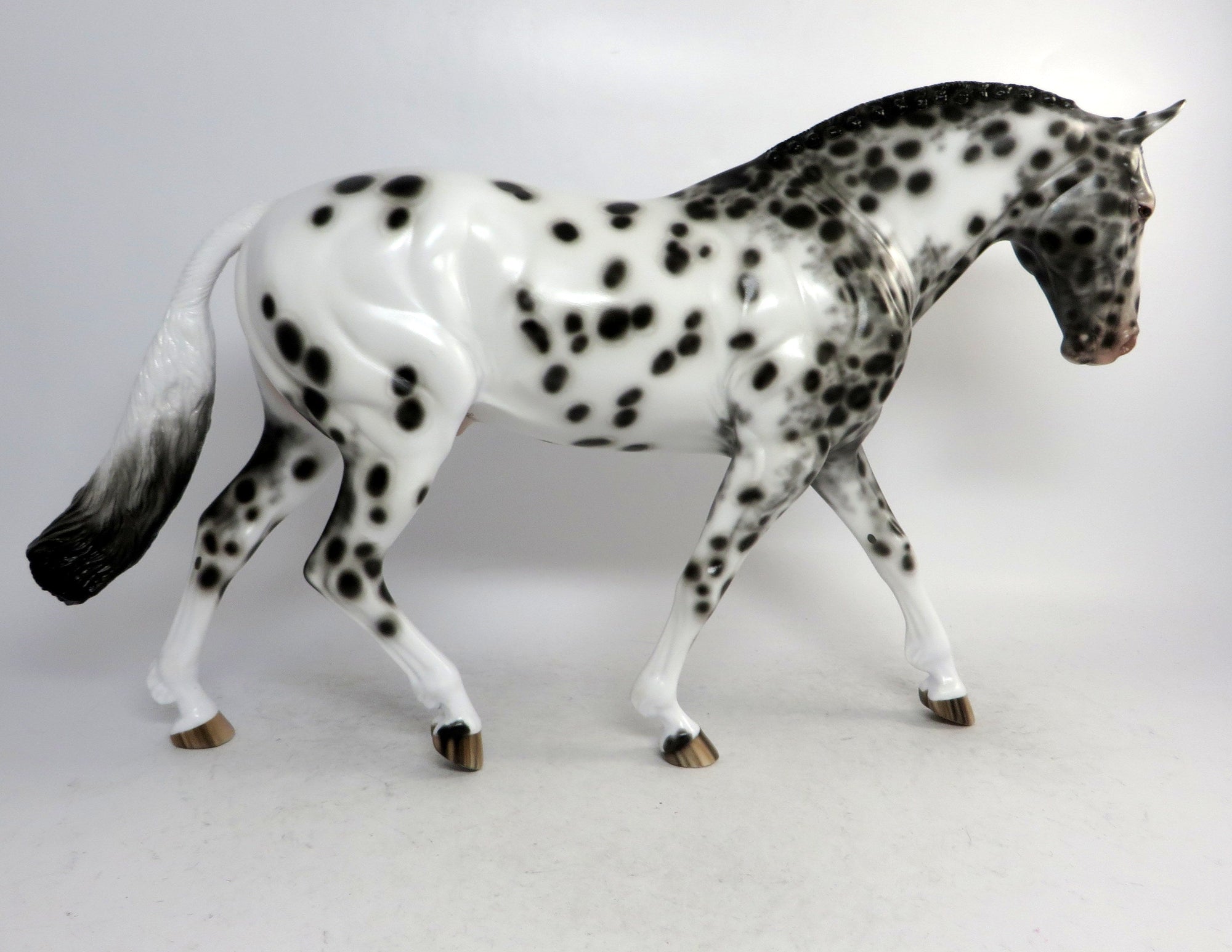 COME ON DOWN-OOAK BLACK APPALOOSA IRISH DRAFT MODEL HORSE BY SHERYL LEISURE 12/21/18