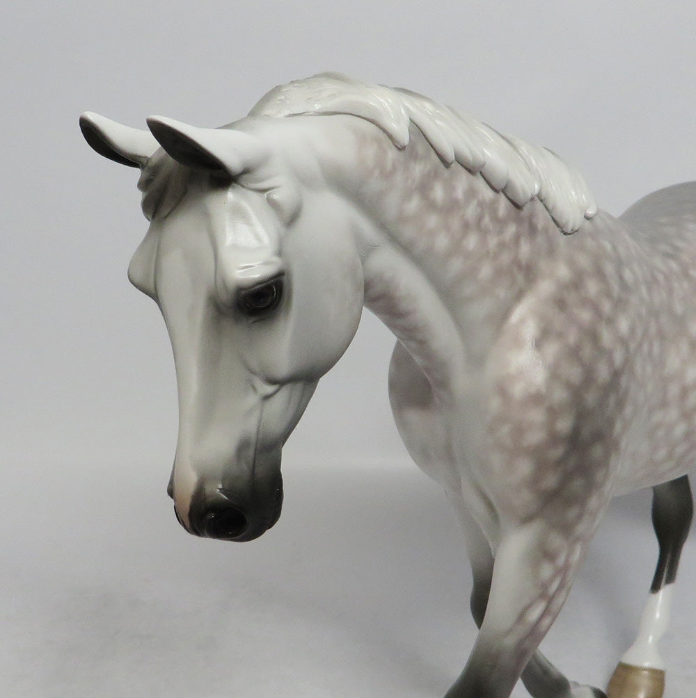 GERTIE - OOAK STAR DAPPLE ROSE GREY PALOUSE MODEL HORSE BY SHERYL LEISURE SHCF2018
