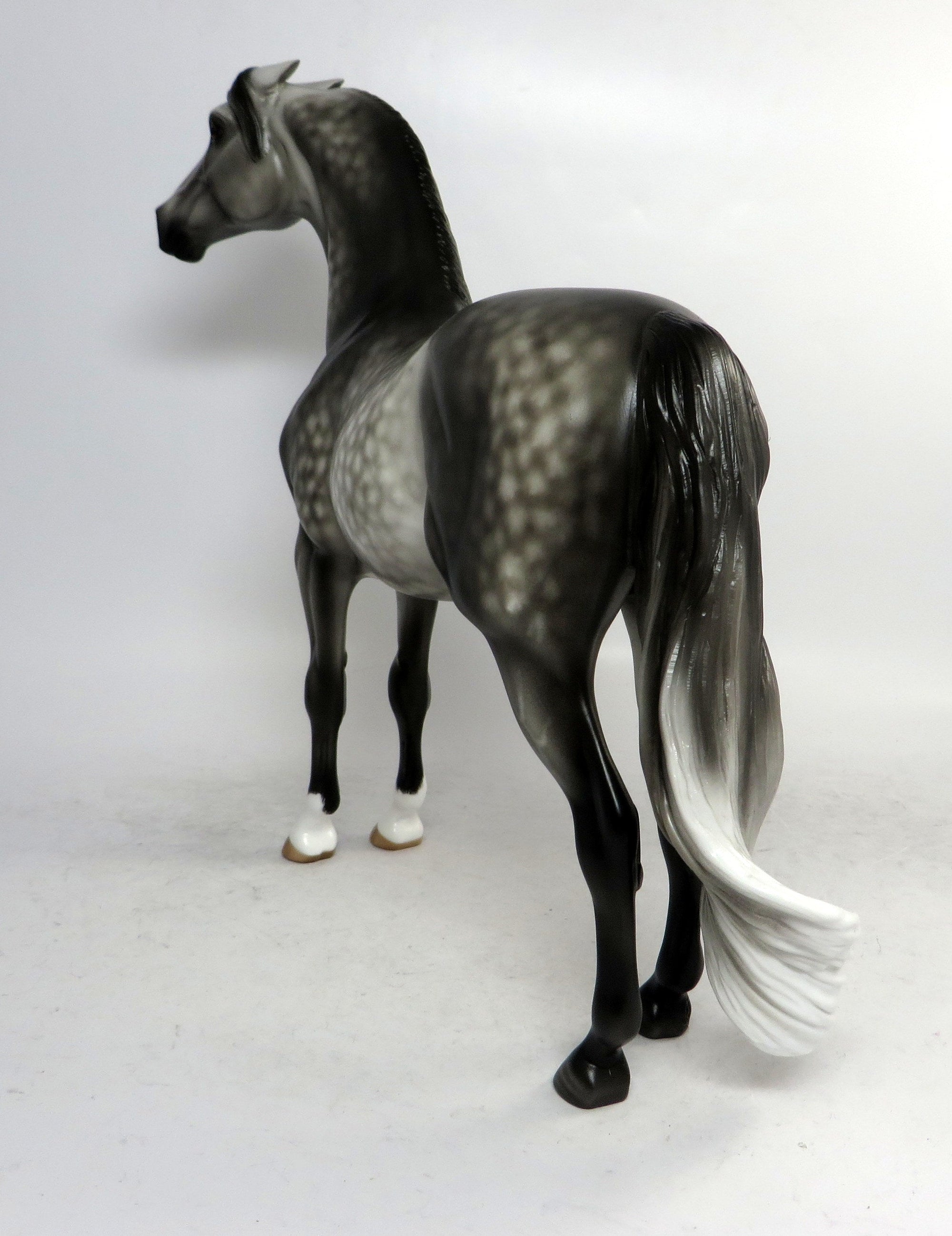 NO DEAL-OOAK STAR DAPPLE GREY PINNED EAR MORGAN BY SHERYL LEISURE 1/4/19