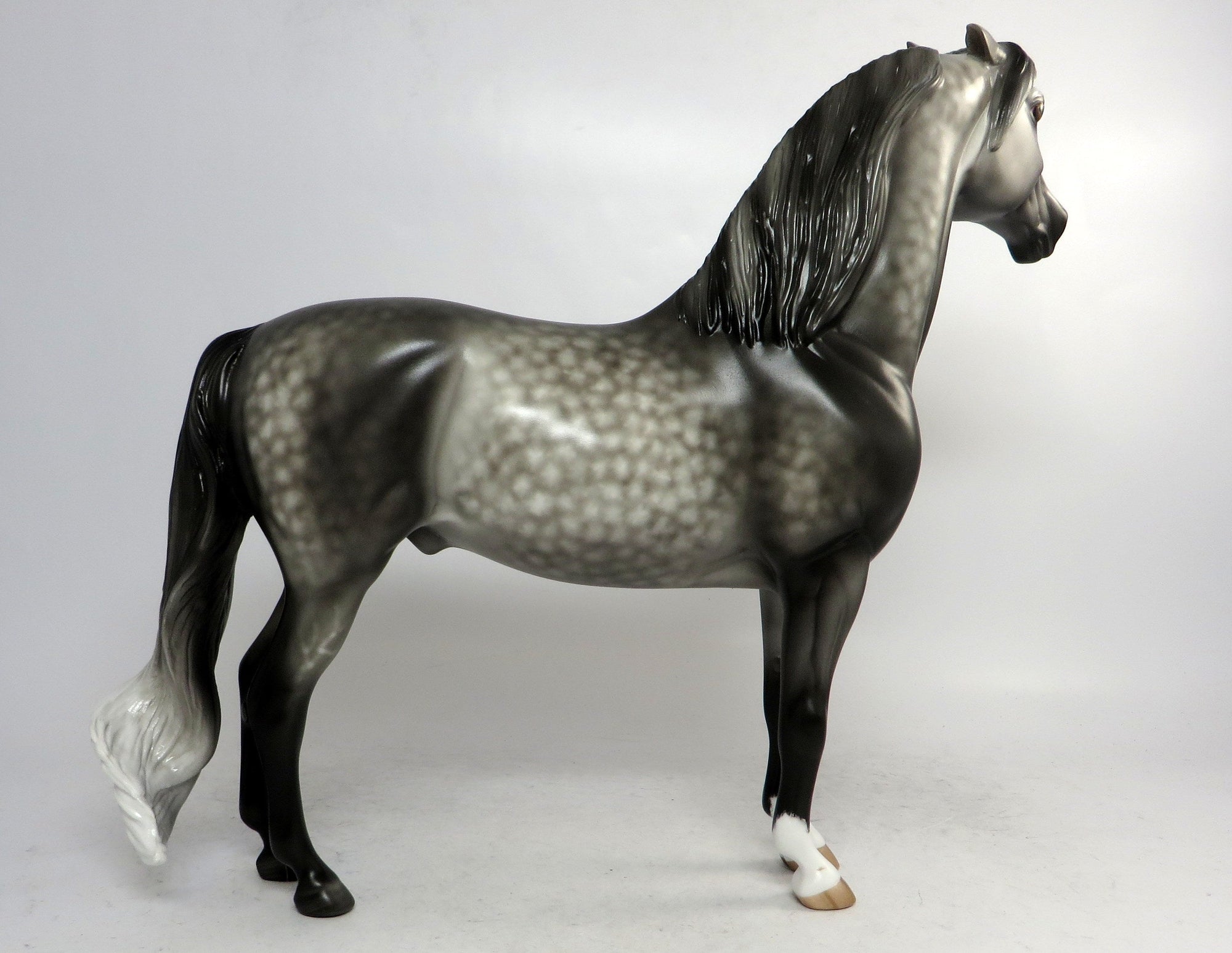 NO DEAL-OOAK STAR DAPPLE GREY PINNED EAR MORGAN BY SHERYL LEISURE 1/4/19