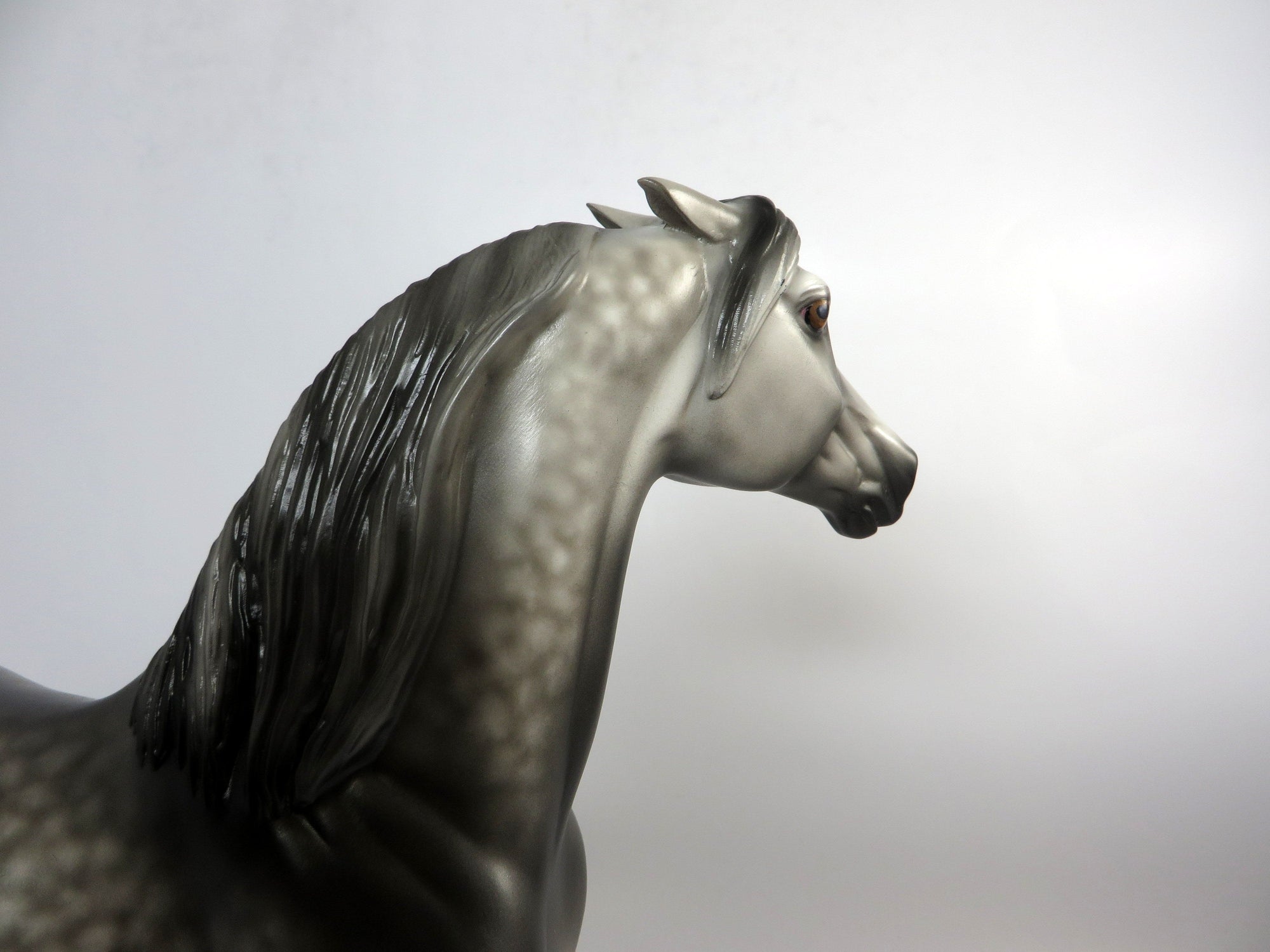 NO DEAL-OOAK STAR DAPPLE GREY PINNED EAR MORGAN BY SHERYL LEISURE 1/4/19