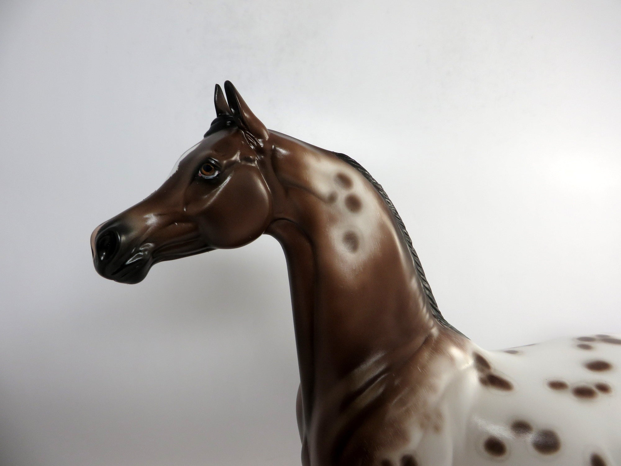 SURVEY SAYS-OOAK BAY APPALOOSA ARABIAN MODEL HORSE 12/21/18