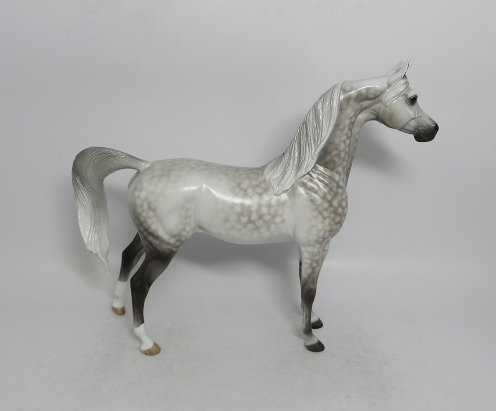 ALL OR NOTHING - OOAK STAR DAPPLE GREY ARABIAN MODEL HORSE BY SHERYL LEISURE SHCF2018