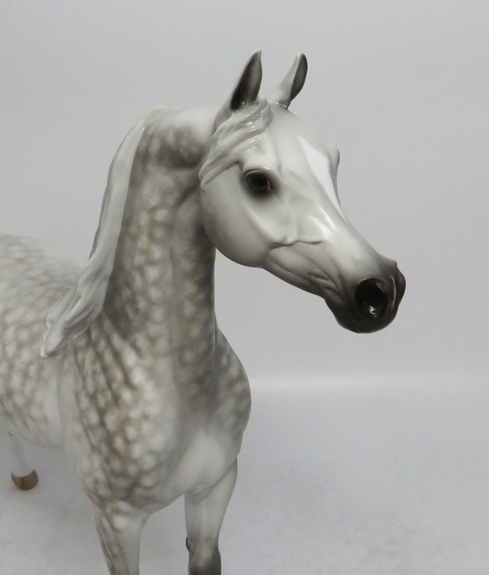 ALL OR NOTHING - OOAK STAR DAPPLE GREY ARABIAN MODEL HORSE BY SHERYL LEISURE SHCF2018