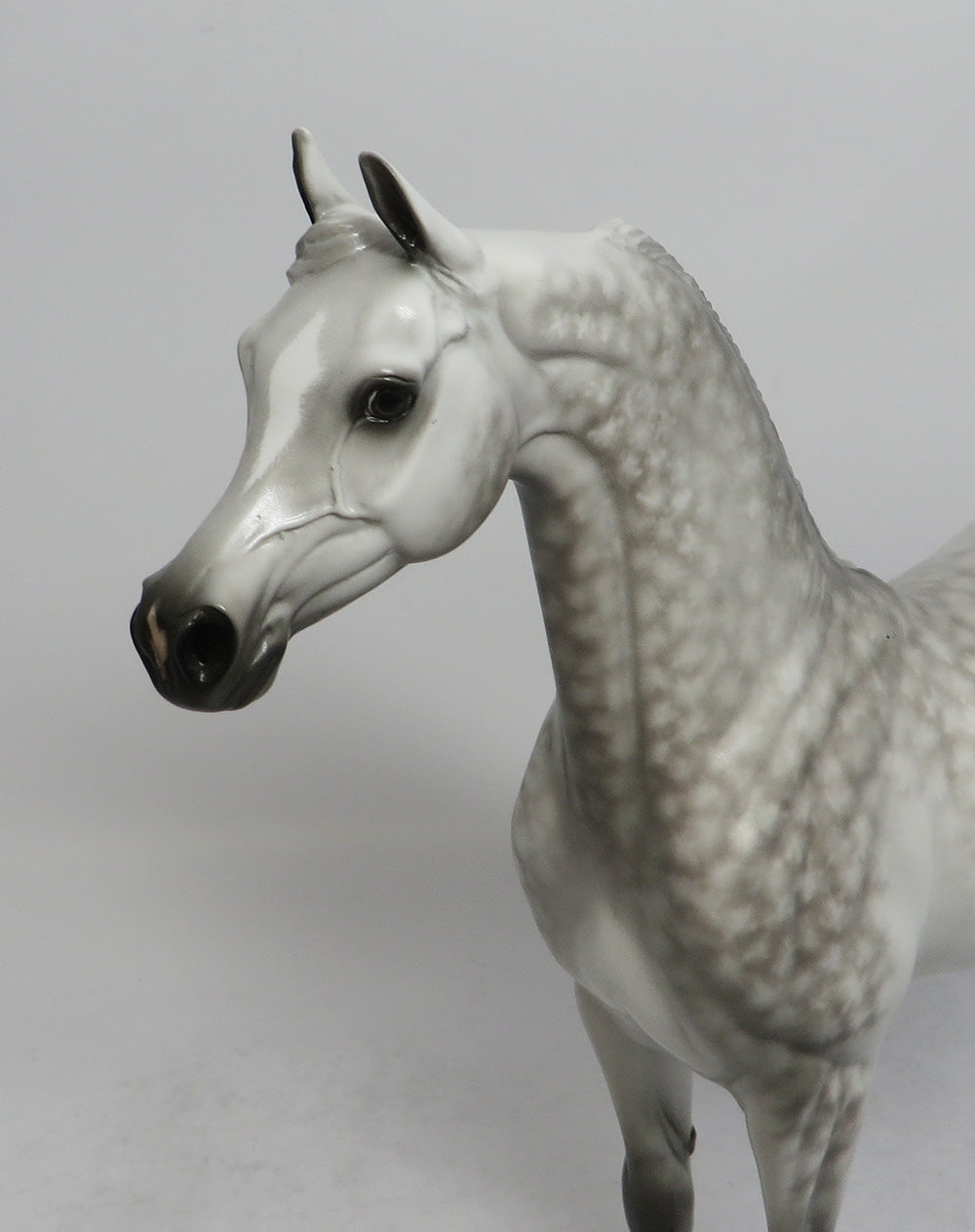 ALL OR NOTHING - OOAK STAR DAPPLE GREY ARABIAN MODEL HORSE BY SHERYL LEISURE SHCF2018