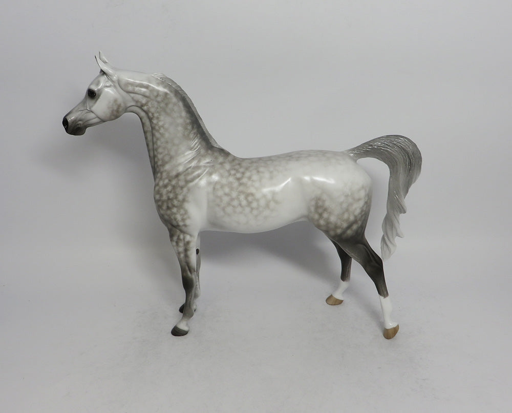 ALL OR NOTHING - OOAK STAR DAPPLE GREY ARABIAN MODEL HORSE BY SHERYL LEISURE SHCF2018