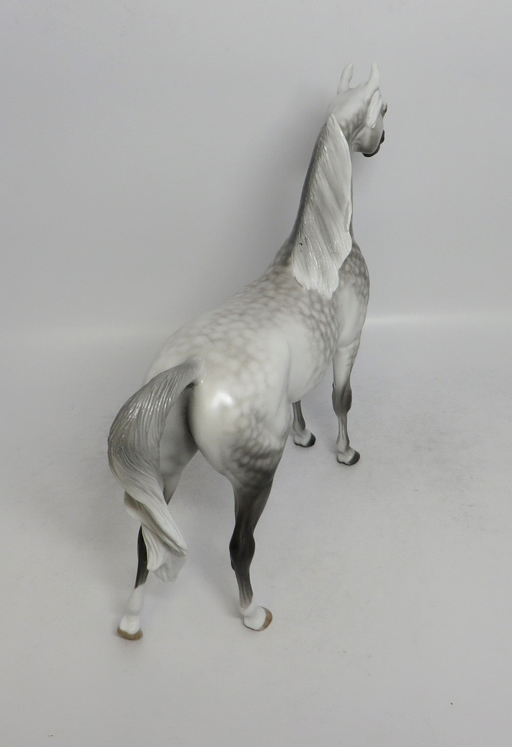ALL OR NOTHING - OOAK STAR DAPPLE GREY ARABIAN MODEL HORSE BY SHERYL LEISURE SHCF2018