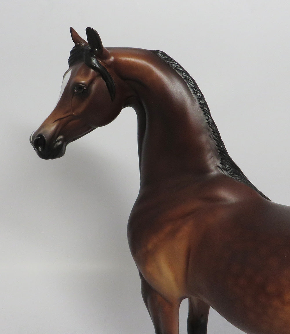 ALI HAKIM - OOAK DAPPLE BAY ARABIAN MODEL HORSE BY SHERYL LEISURE SHCF2018