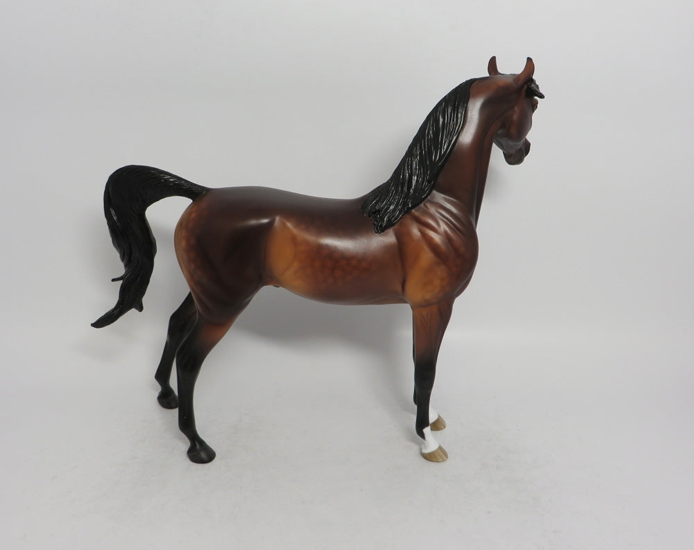 ALI HAKIM - OOAK DAPPLE BAY ARABIAN MODEL HORSE BY SHERYL LEISURE SHCF2018