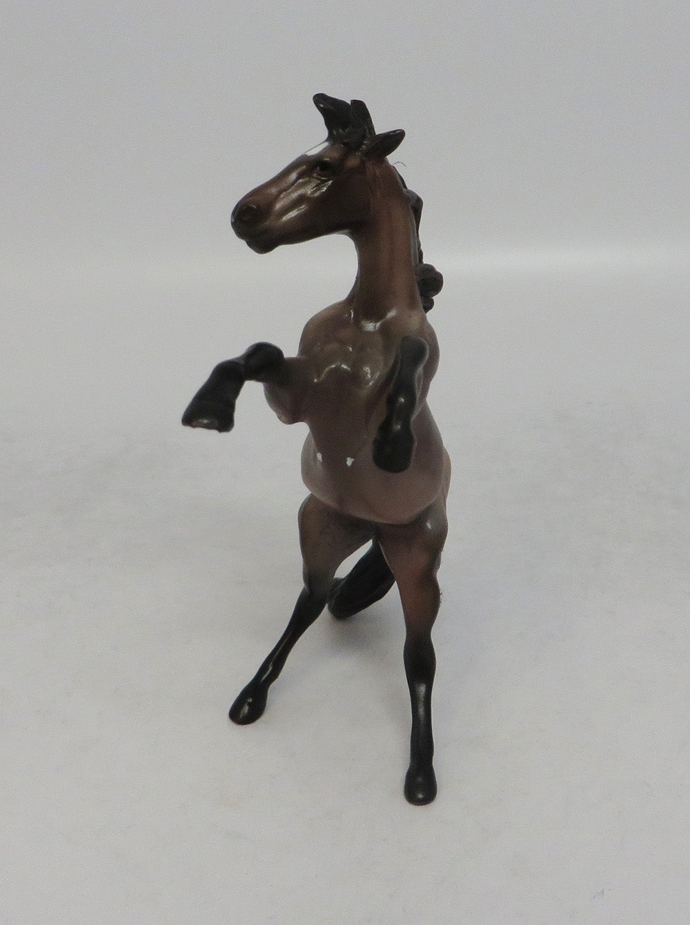 INOLA MINI - LE25 GRULLA REARING CHIP SHCF2018