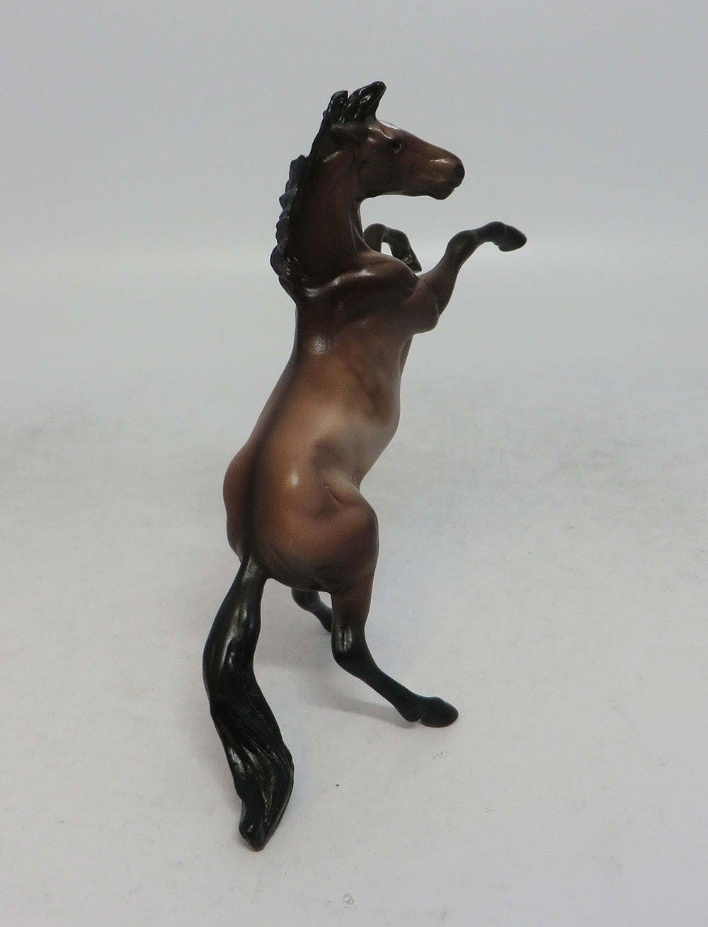 INOLA MINI - LE25 GRULLA REARING CHIP SHCF2018