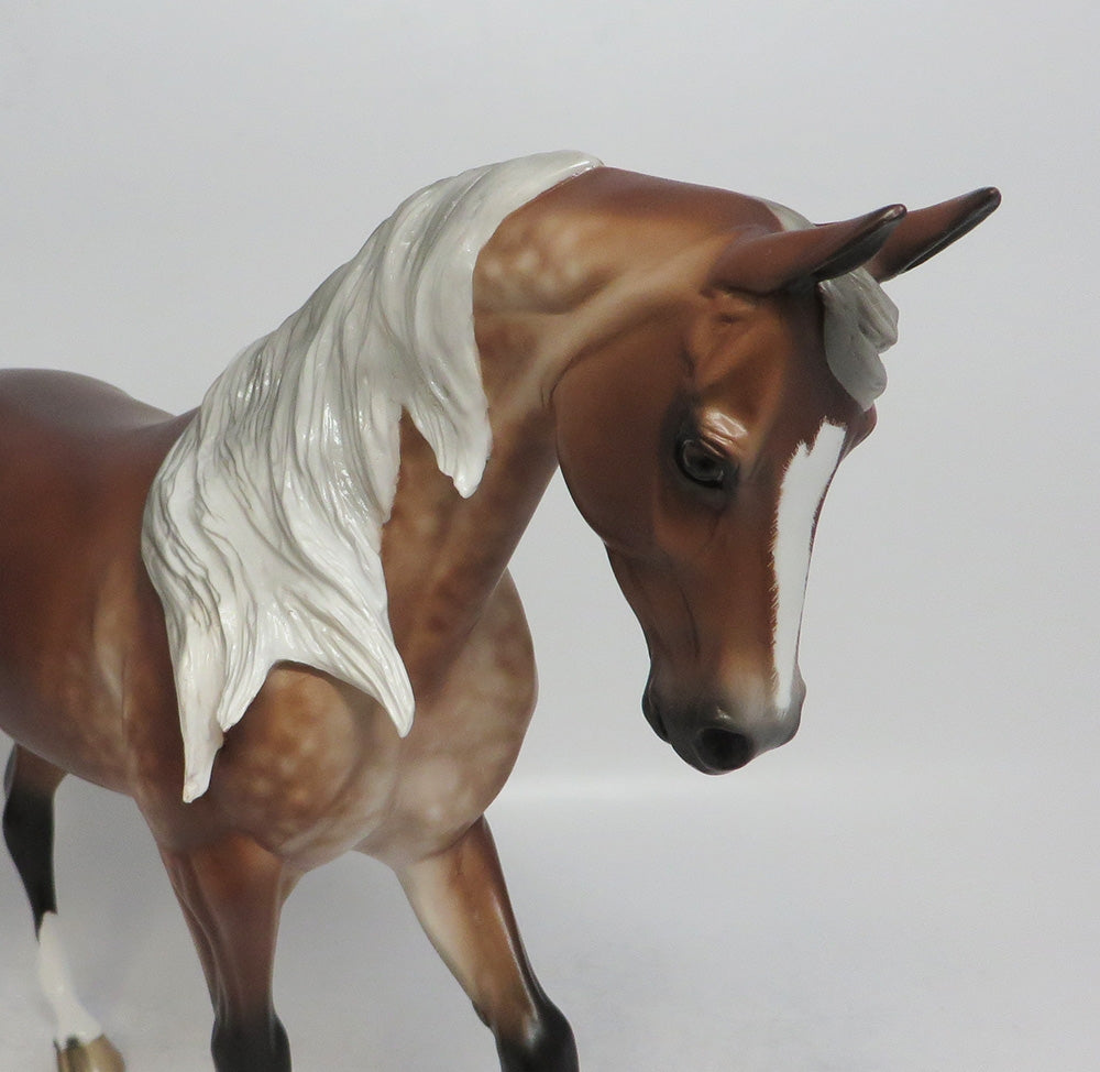 BOX SOCIAL-OOAK BAY GOING GREY THOROUGHBRED MODEL HORSE BY SHERYL LEISURE SCHF 2018