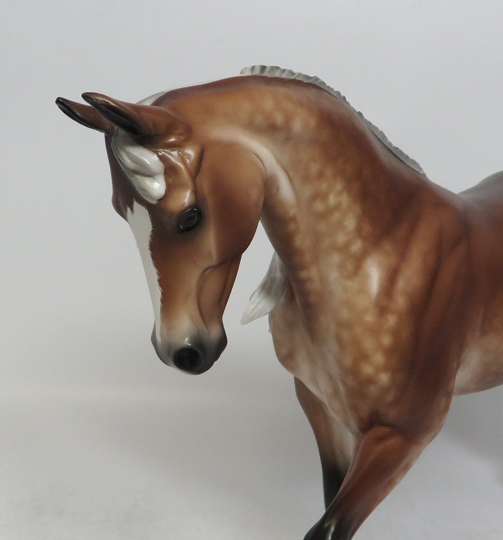 BOX SOCIAL-OOAK BAY GOING GREY THOROUGHBRED MODEL HORSE BY SHERYL LEISURE SCHF 2018