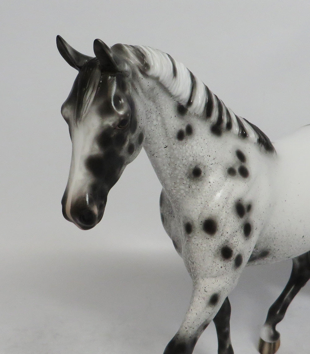 LITTLE WONDER-OOAK BLACK APPALOOSA PONY BY SHERYL LEISURE SCHF 2018