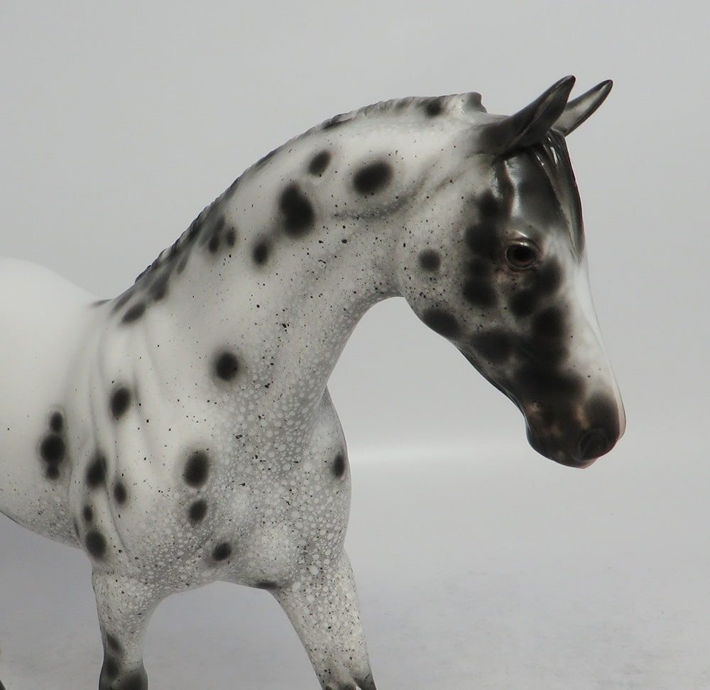 LITTLE WONDER-OOAK BLACK APPALOOSA PONY BY SHERYL LEISURE SCHF 2018