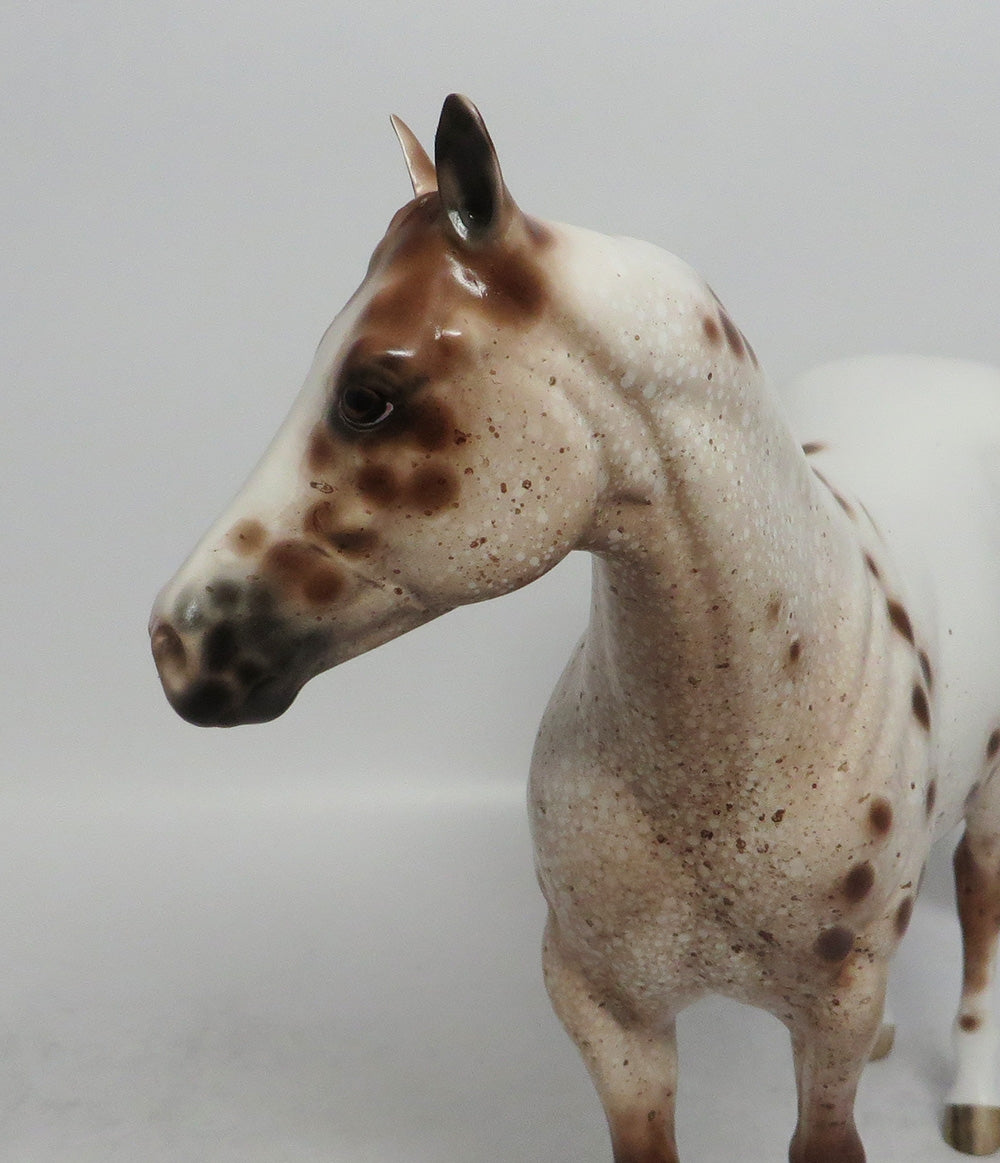 BEAUTIFUL MORNING-OOAK CHESTNUT APPALOOSA ISH MODEL HORSE BY SHERYL LEISURE SCHF 2018