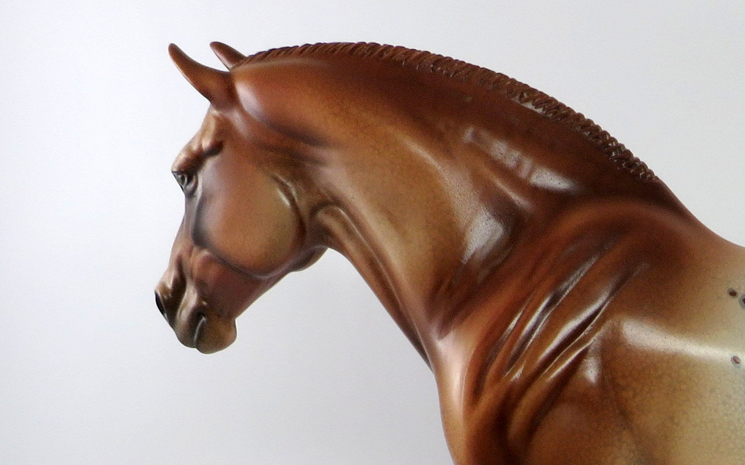 GINGER-OOAK CHESTNUT APPALLOOSA HEAVY DRAFT MODEL HORSE 12/28/18