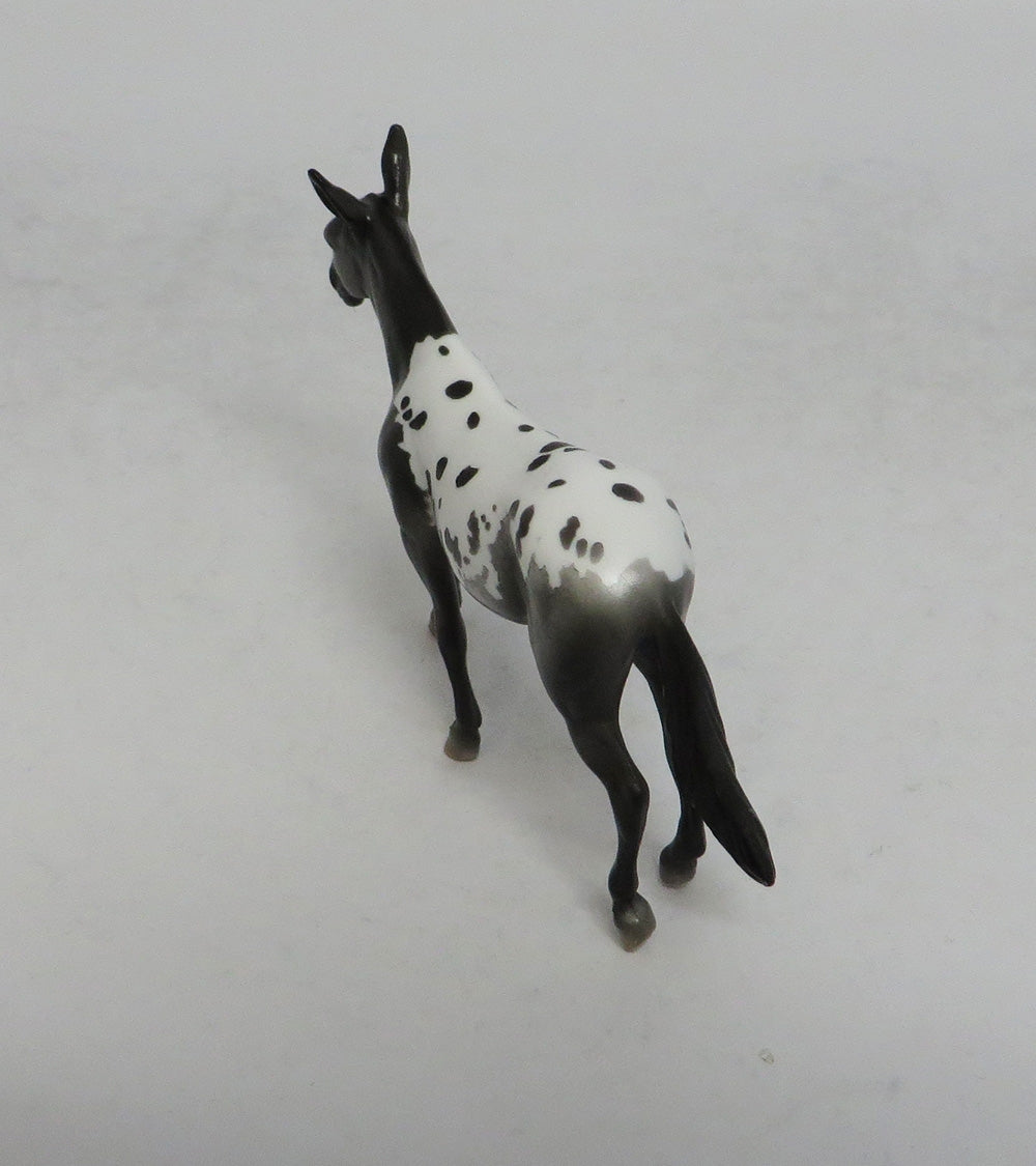 RHYTHMIC - OOAK APPALOOSA MULE CHIP SHCF2018