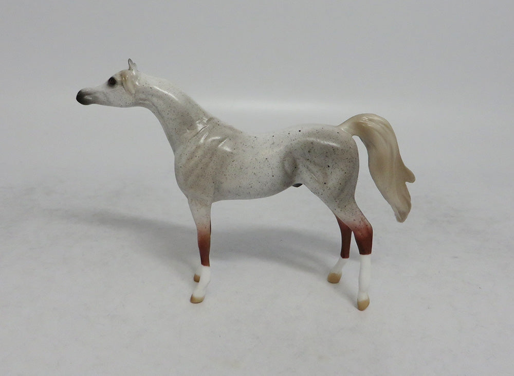 TRITON - OOAK FLEA BITTEN GREY ARABIAN CHIP SHCF2018
