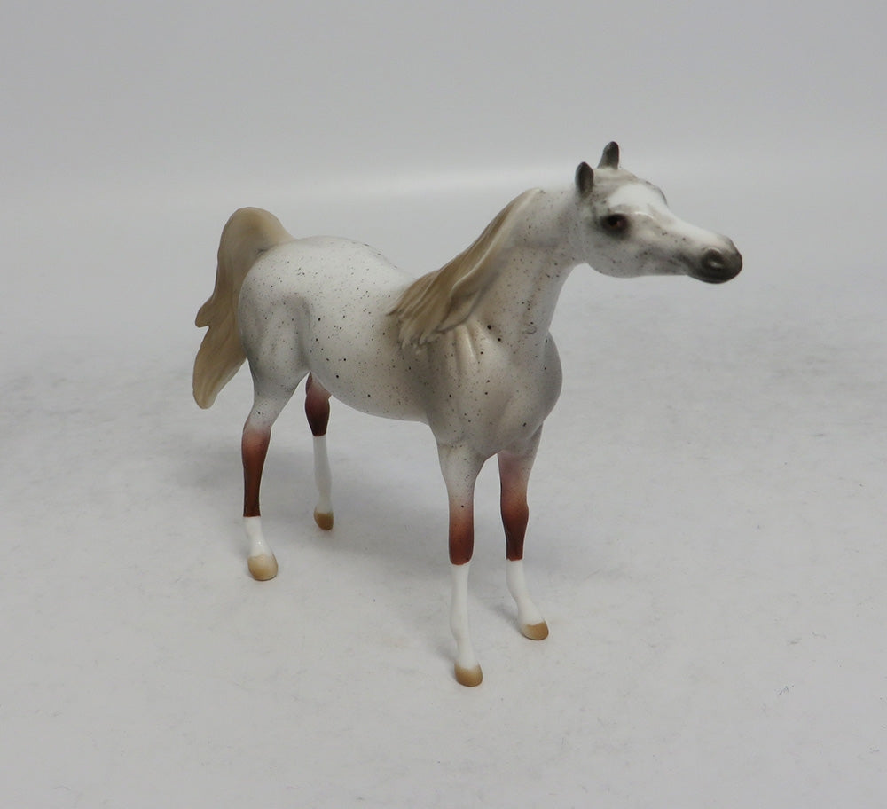 TRITON - OOAK FLEA BITTEN GREY ARABIAN CHIP SHCF2018