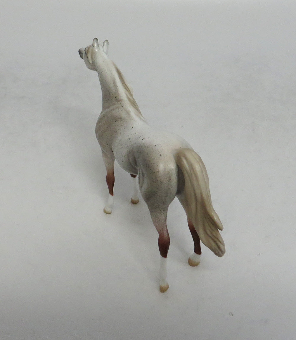 TRITON - OOAK FLEA BITTEN GREY ARABIAN CHIP SHCF2018