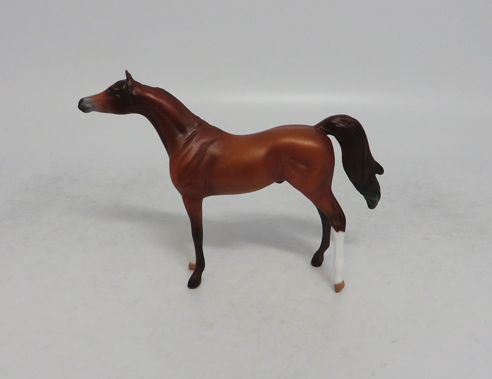 VITO - OOAK SORREL ARABIAN CHIP SHCF2018