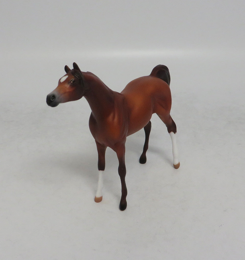 VITO - OOAK SORREL ARABIAN CHIP SHCF2018