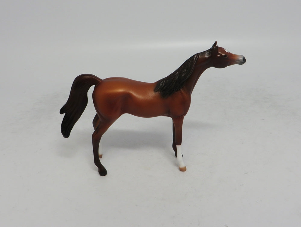 VITO - OOAK SORREL ARABIAN CHIP SHCF2018