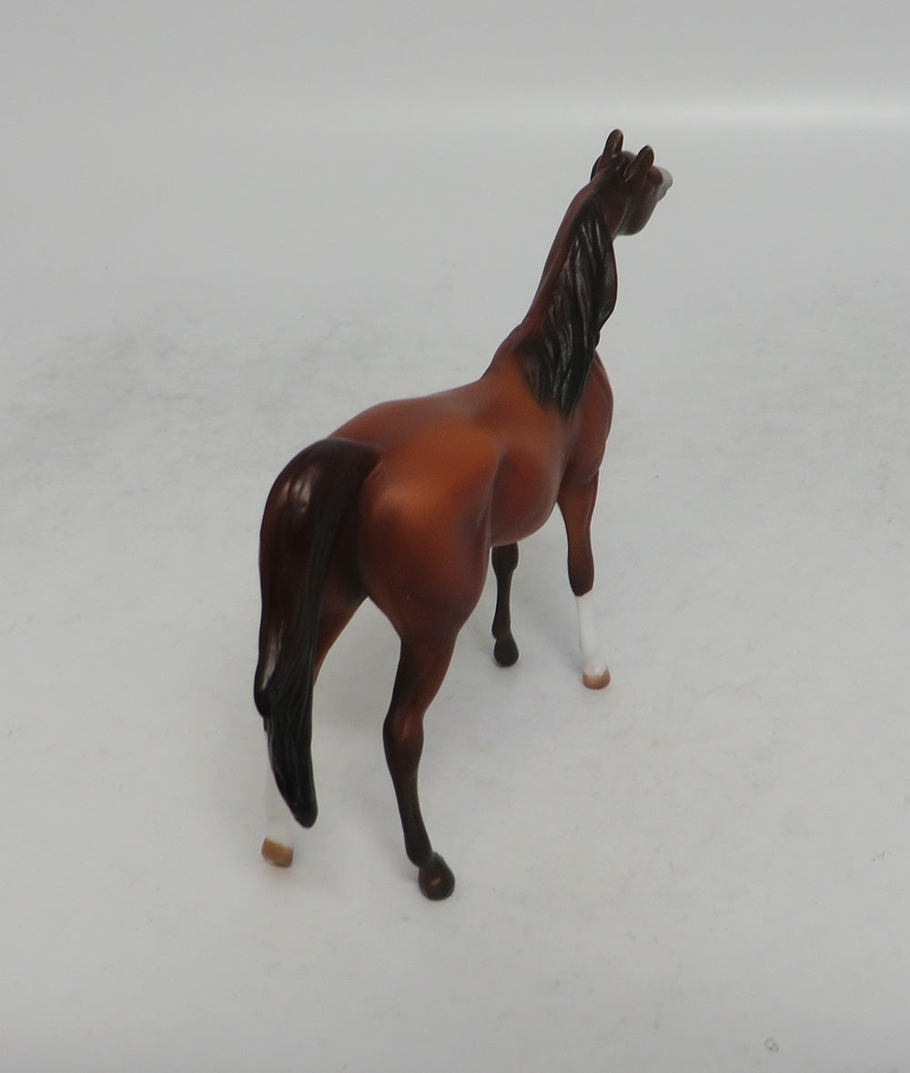 VITO - OOAK SORREL ARABIAN CHIP SHCF2018
