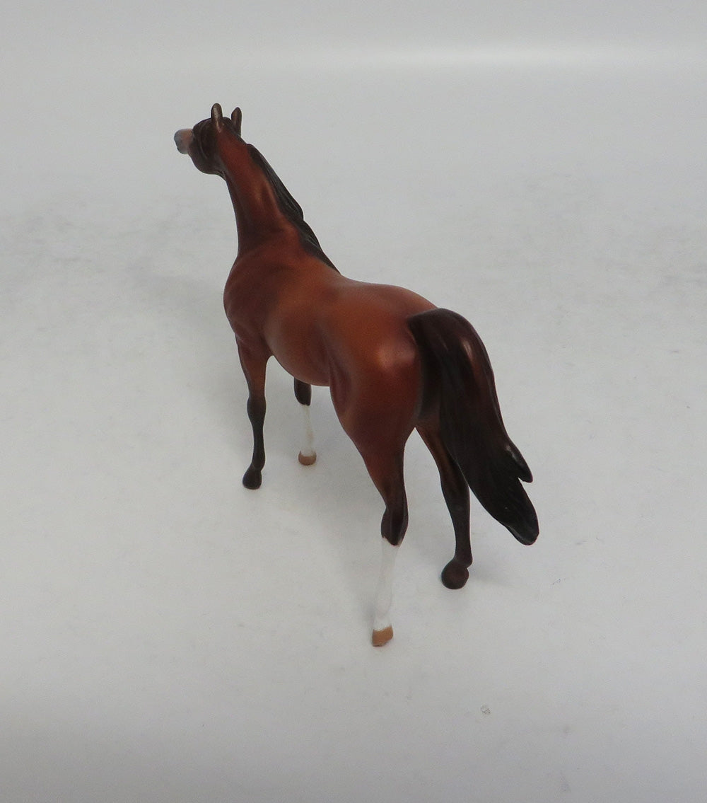 VITO - OOAK SORREL ARABIAN CHIP SHCF2018