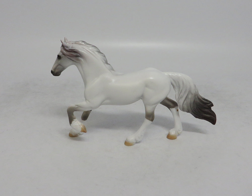 TONTO - OOAK GREY FRESIAN CHIP SHCF2018