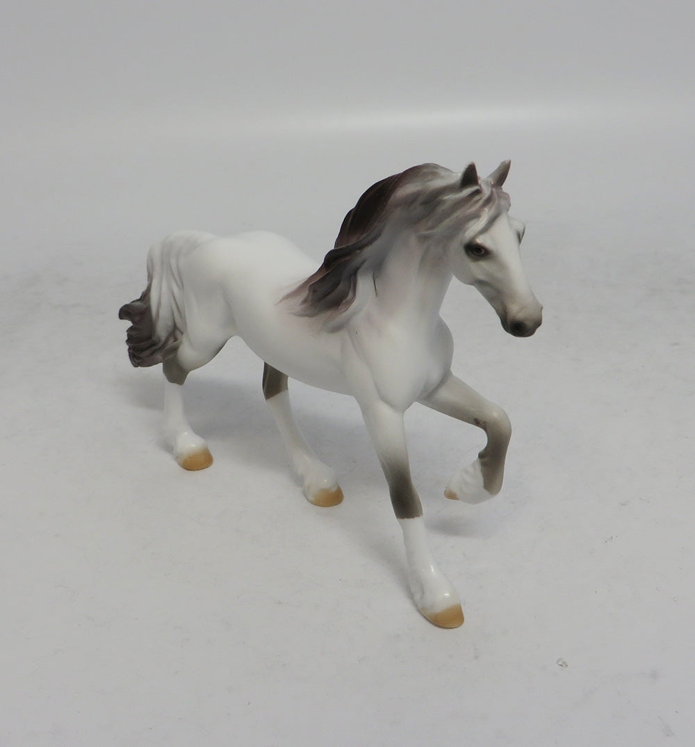 TONTO - OOAK GREY FRESIAN CHIP SHCF2018