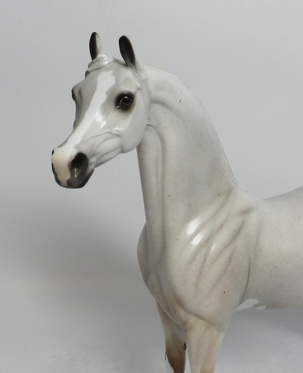 ROUGE - OOAK FLEA BITTEN GREY ARABIAN MODEL HORSE SHCF2018