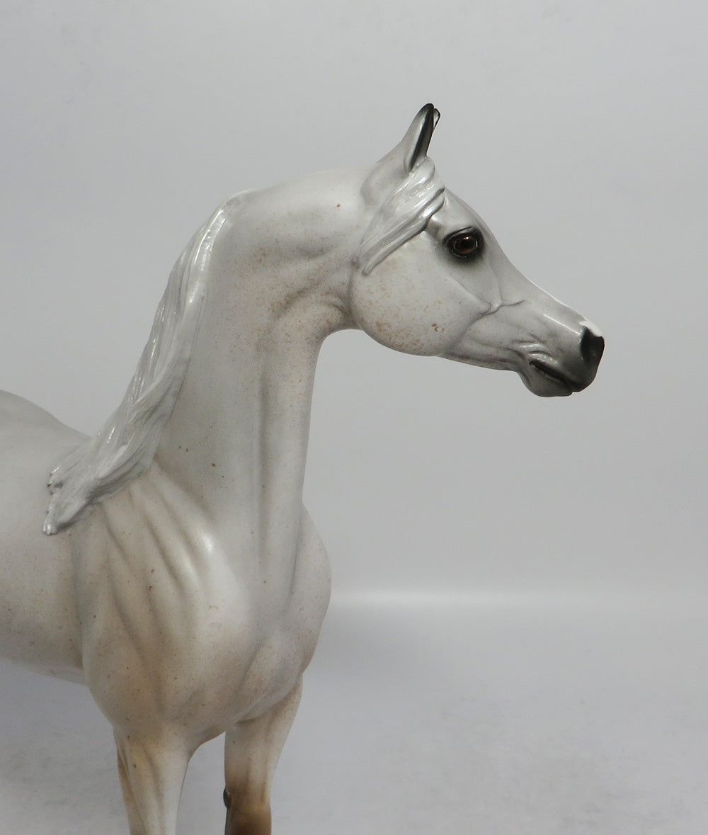 ROUGE - OOAK FLEA BITTEN GREY ARABIAN MODEL HORSE SHCF2018