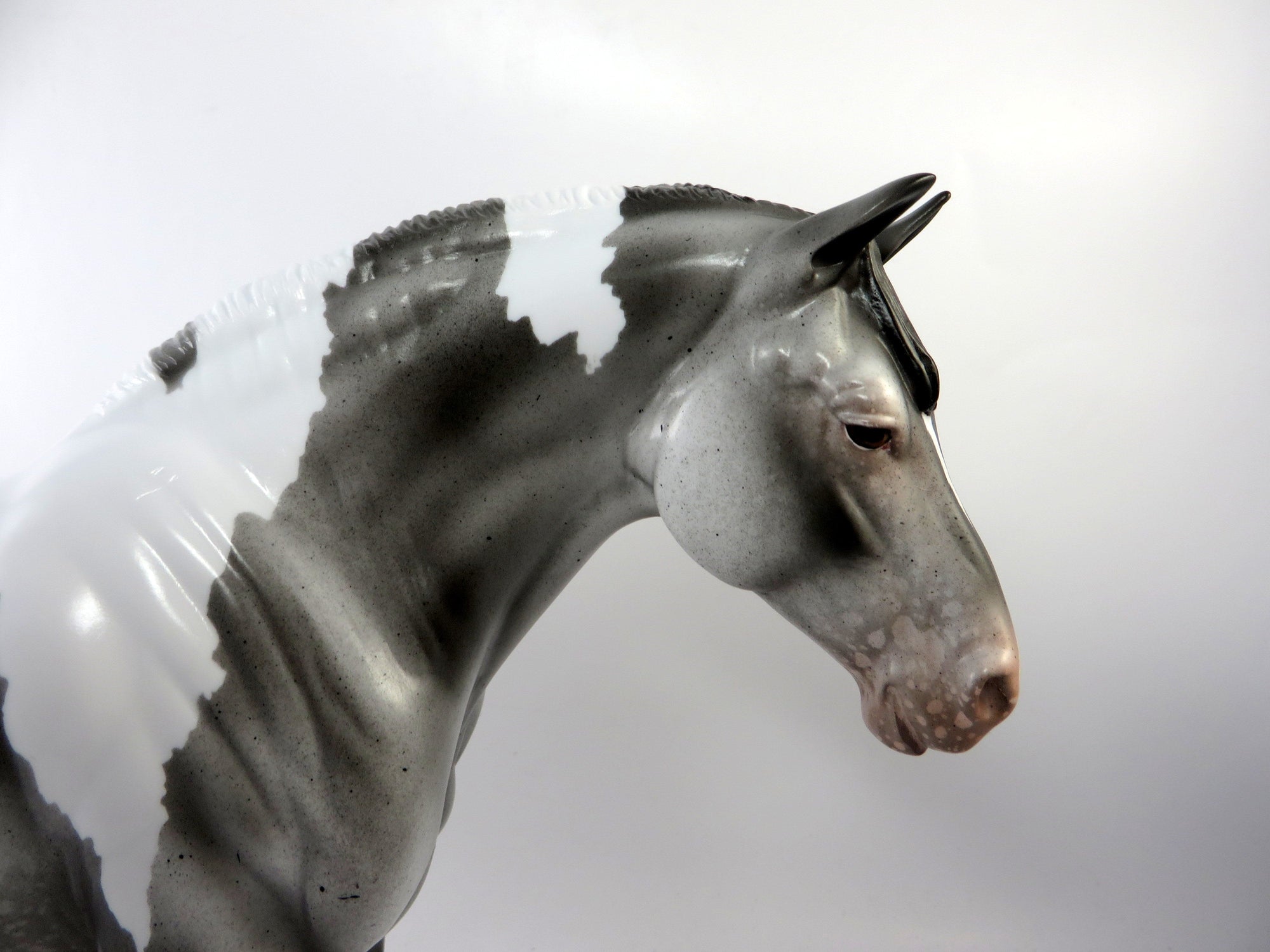 KIT-KAT-OOAK PINTALOOSA HEAVY DRAFT MARE BY AUDREY DIXON 1/4/19