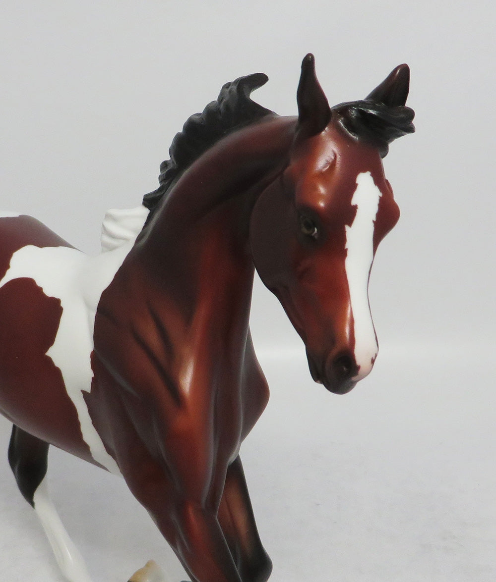 MIGO - LE4 DAPPLE BAY PINTO YEARLING MODEL HORSE SHCF2018